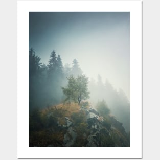 Solitary tree on a misty hill Posters and Art